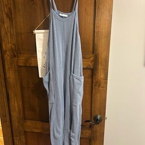 Dry Goods blue striped jumpsuit